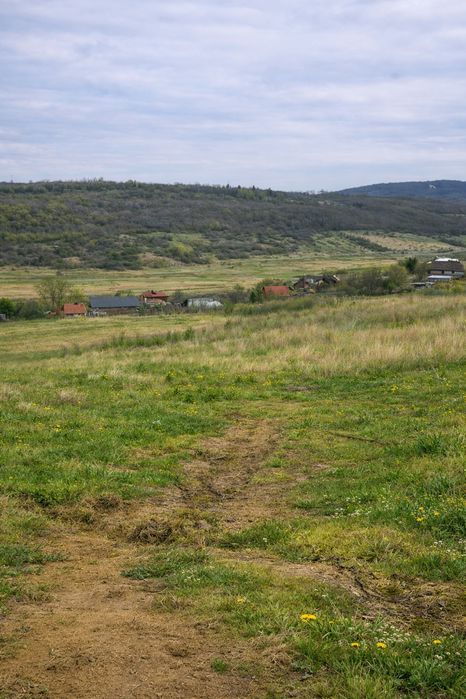 Teren intravilan – Bd. Rosetti / Vânători – municipiul Iasi