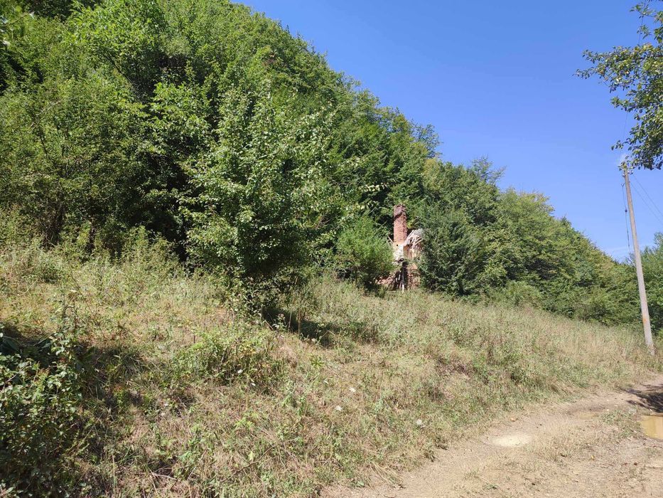 Продава се Парцел в с. Огоя, Област София-област - 1000 кв.м за 14 €/кв.м - Снимка #1