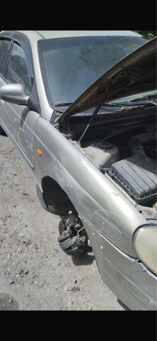 Леганза Нубира на разбор