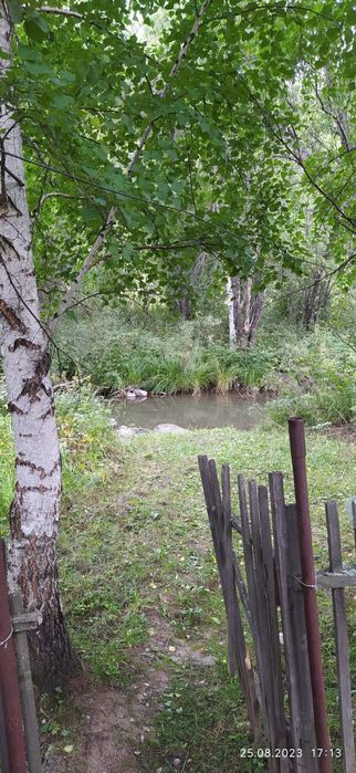 Продам.  Пасеку.