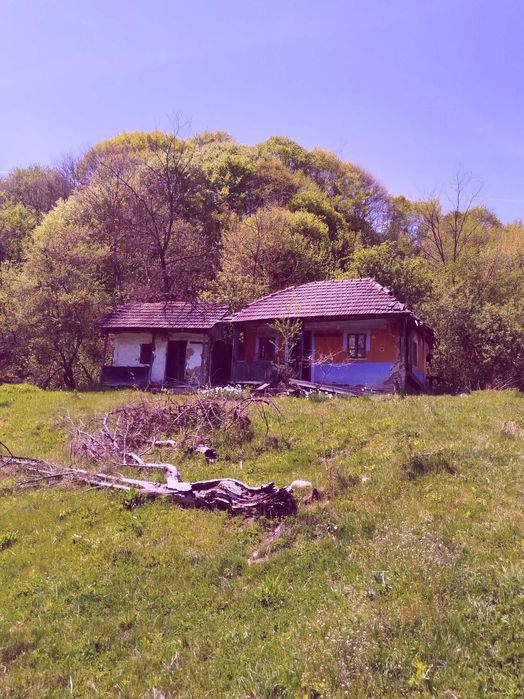 Teren de vis la munte – 7.795 mp – construibil – pârâu, pădure, fără vecini – Vâlcea