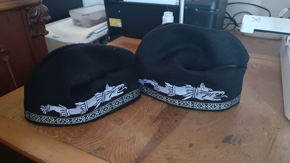 Pileus ,căciula dacului.