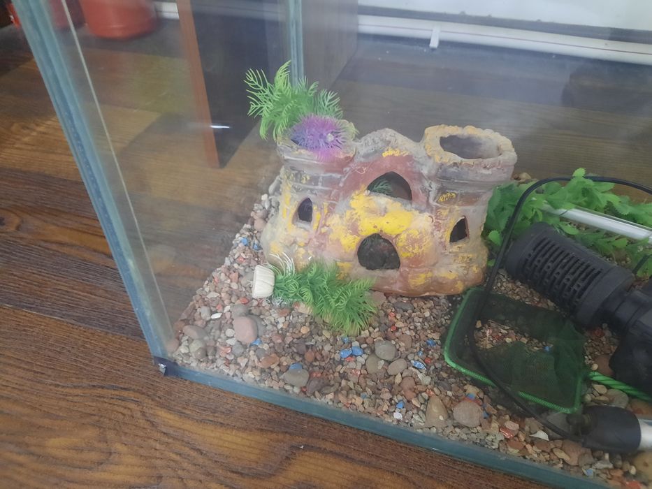Aquarium sotiladi