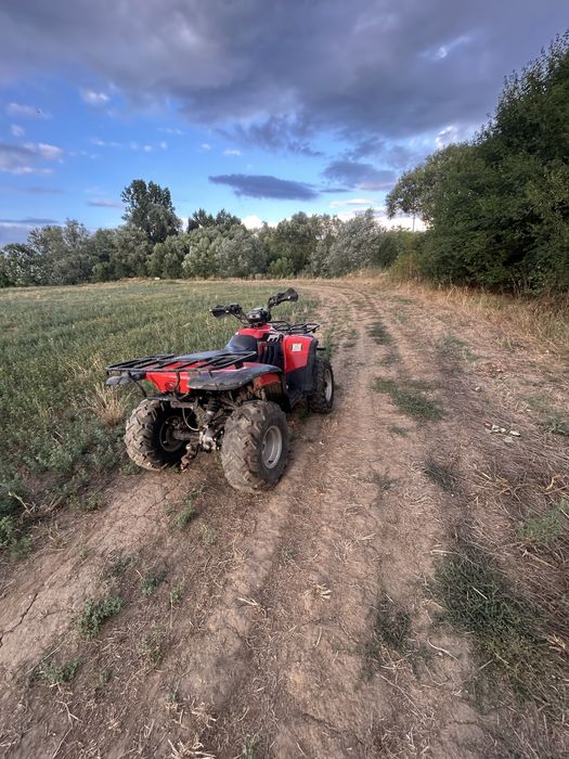 Vand Linhai Worker 300 4x4