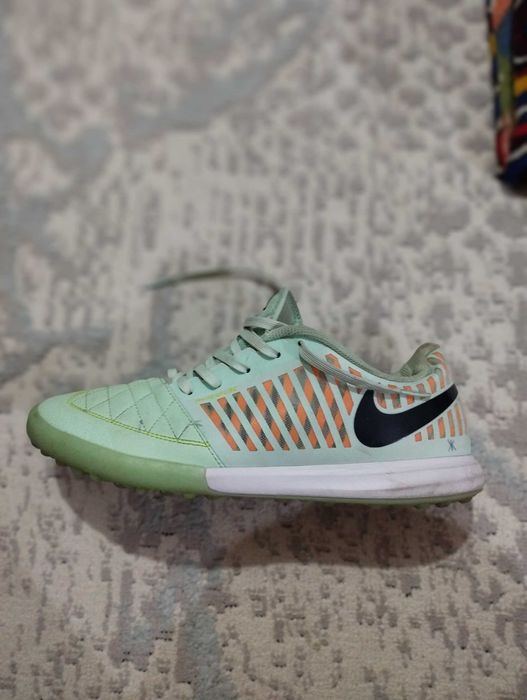 Сороконожки лунар гато