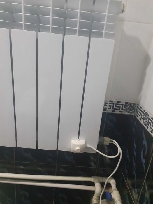 Tenli qovurg'a sifatli sotiladi