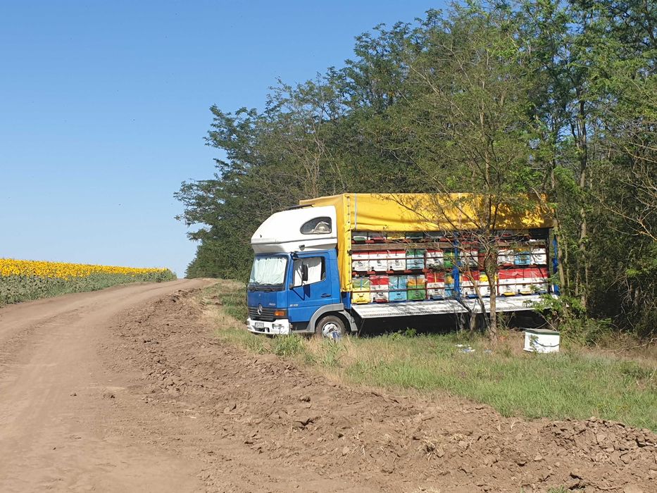 Vand MERCEDES ATEGO 815, 7,5 tone