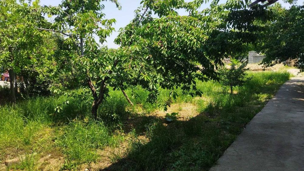 Продается жилой  участок 12 соток 4 комнат  кибрай  цена за соток