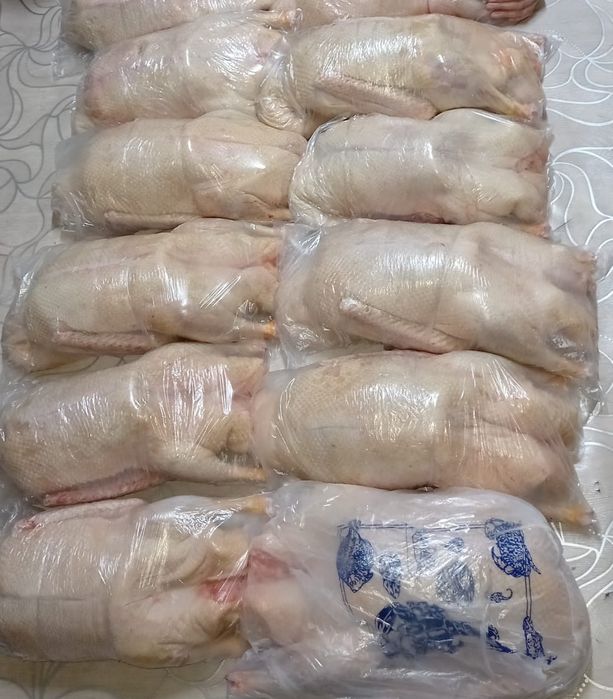 Продам тушки гусей