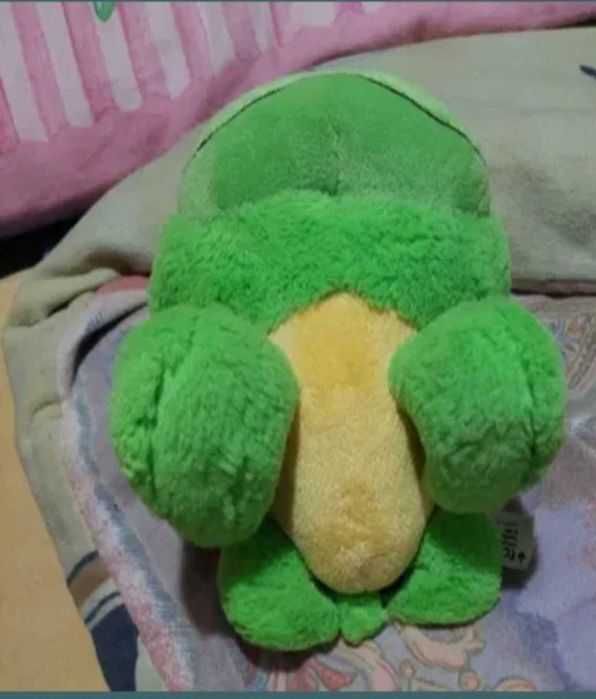 Adorabilul Oachy