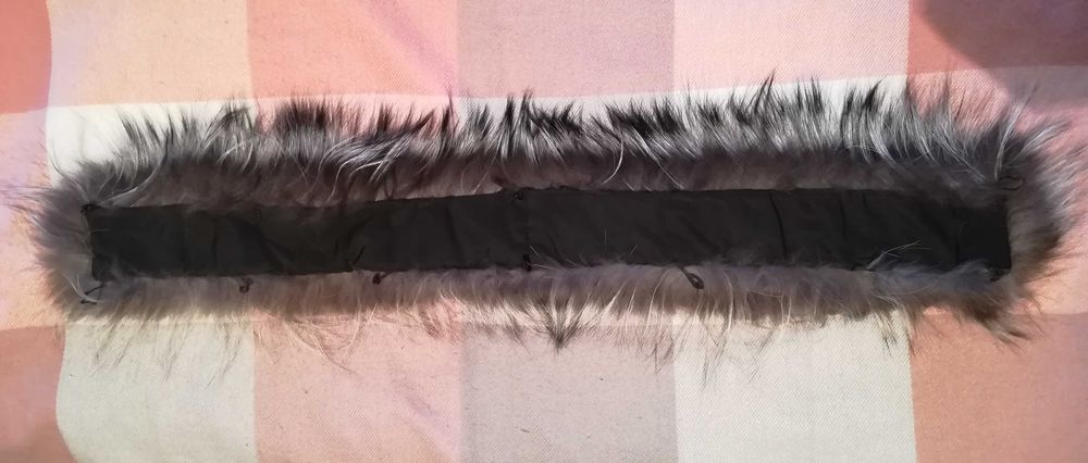 Лиса чёрно-бурка