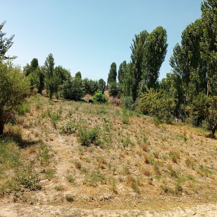 Срочно уи сатилади