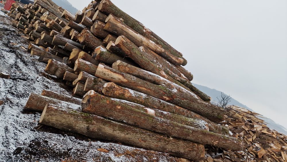 Cherestea Stejar Grinzi stejar