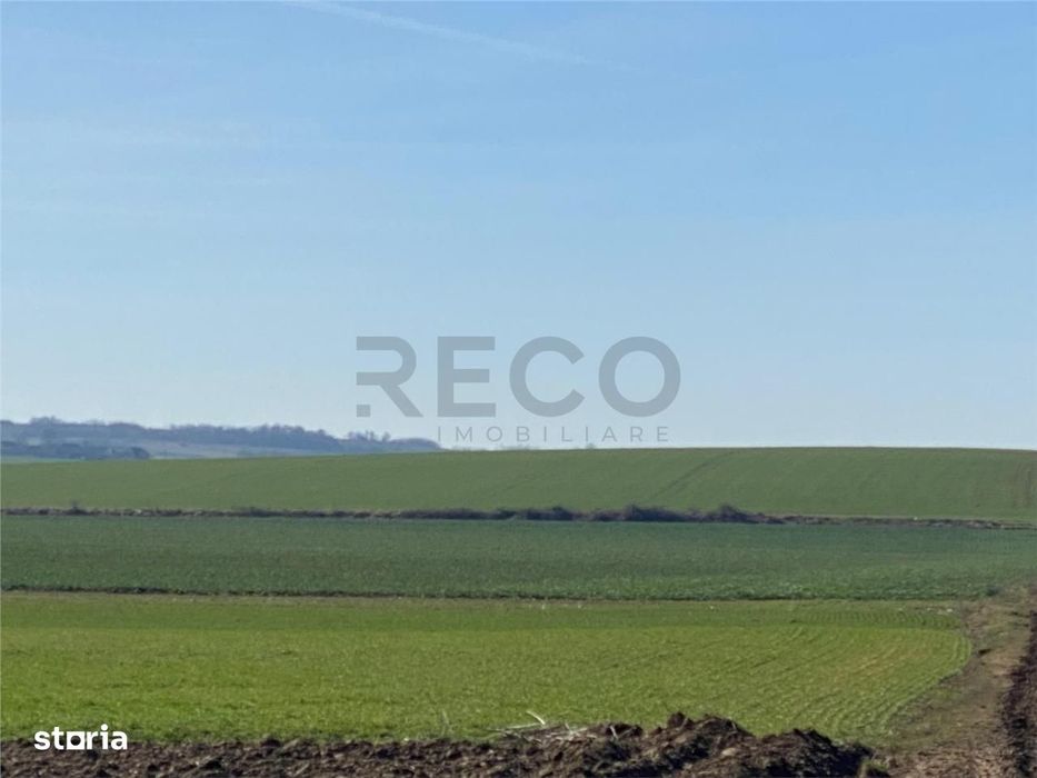 RECO Teren  pentru investitie  4ha Tauteu-Zona Autostrazii Transilvani