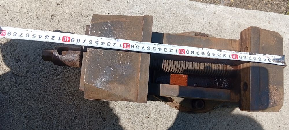 Продам тисы  фрейзерные