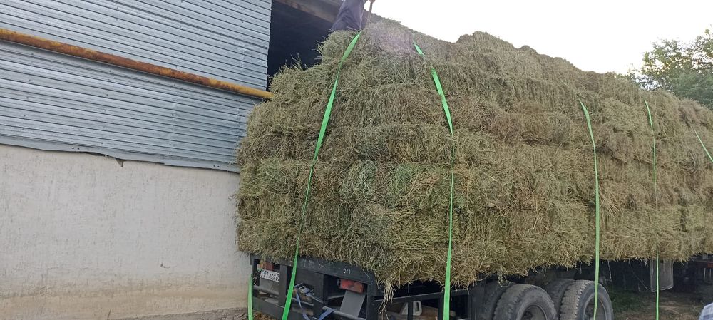 Сено тюк люцерно