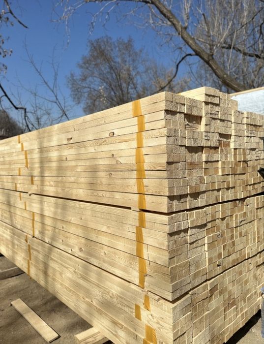 Озб шок цены Алматы!