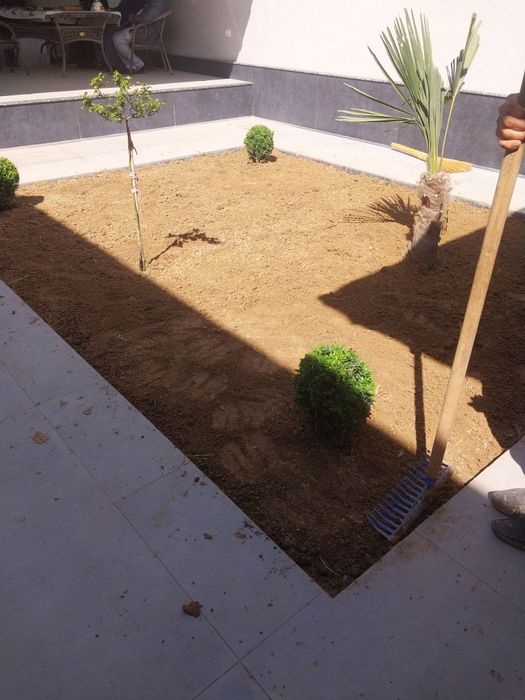 Gazon ekish lanshaftni dizayin asosida ekish respublika boʻylaf