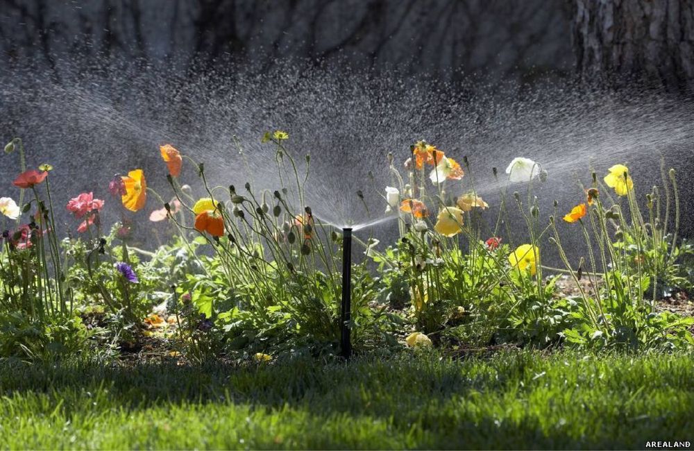 Автополив под ключ