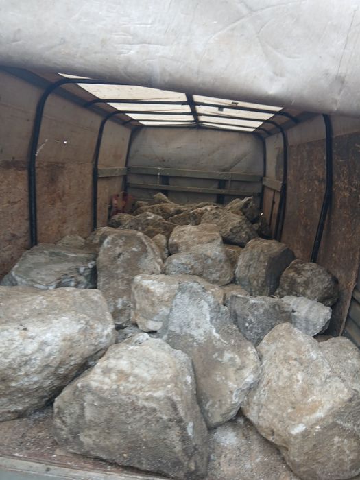 Кормовая соль (Аральская)