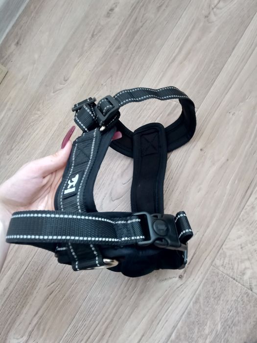 Новая шлейка для собаки!