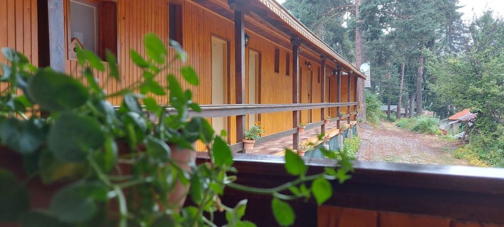 Дава се под наем Къща в с. Равногор, Област Пазарджик - 391 кв.м за 4845 € - Снимка #3