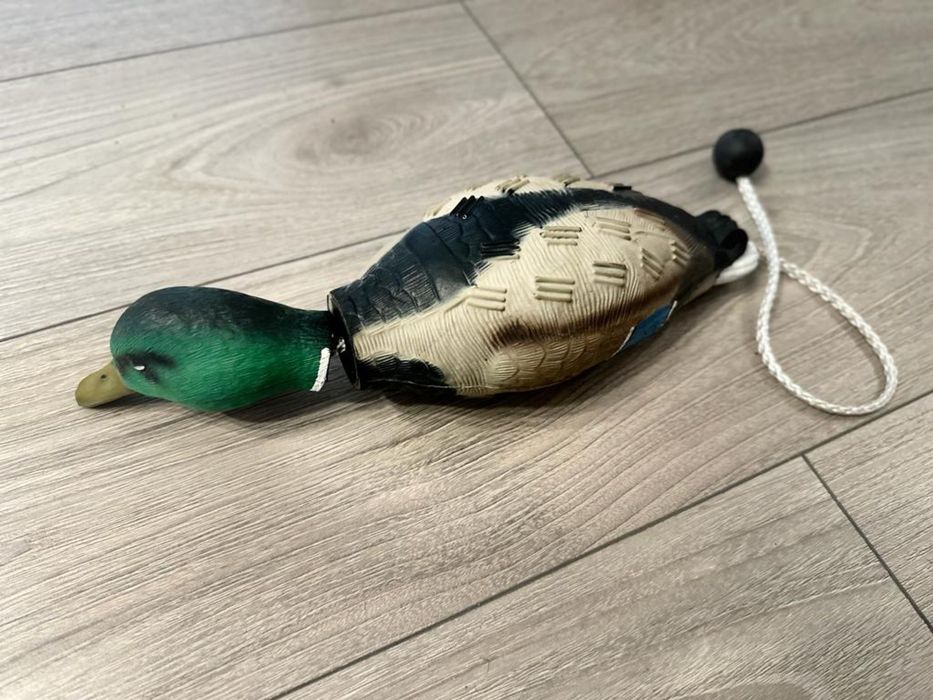 Fazani și rate aportabile