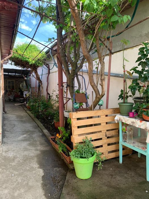 Casa Mihai Viteazu Buzau