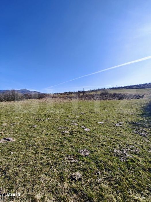 Teren intravilan – Cusma | 50 ari | Zona linistita