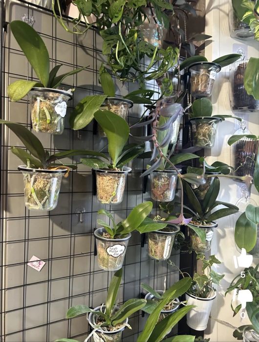 Держатели горшков на сетку - мудборд