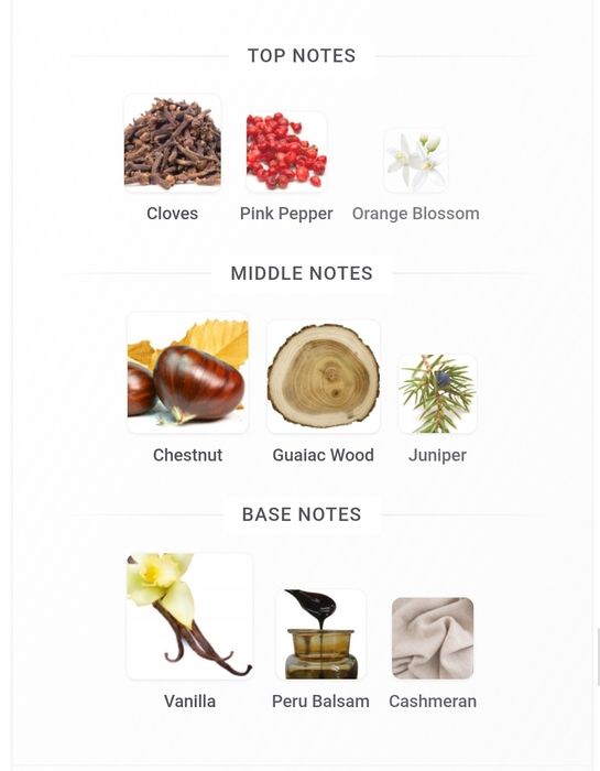 Replica By the Fireplace 100ml - Maison Margiela