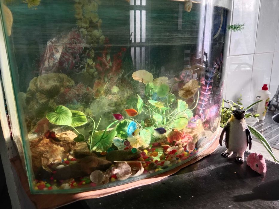 Продам аквариум 70л