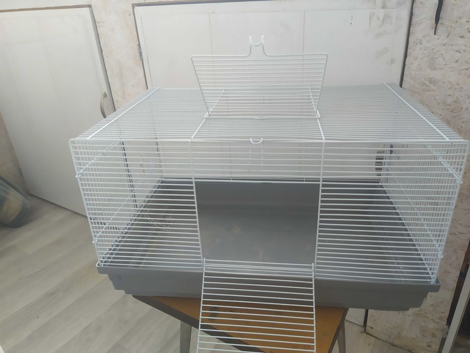 клетка для чилийской белки Дегу