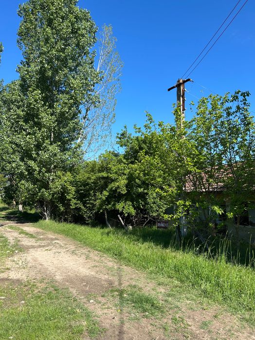 Teren intravilan Sat. Vârvoru de Sus