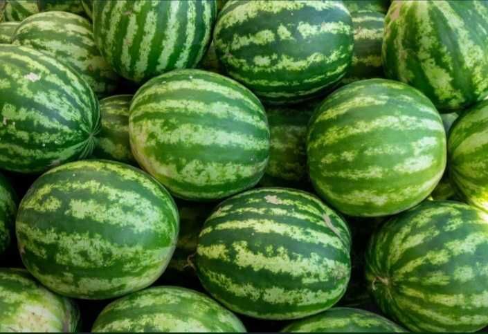 Biznes xamkor kerak xalol biznesga