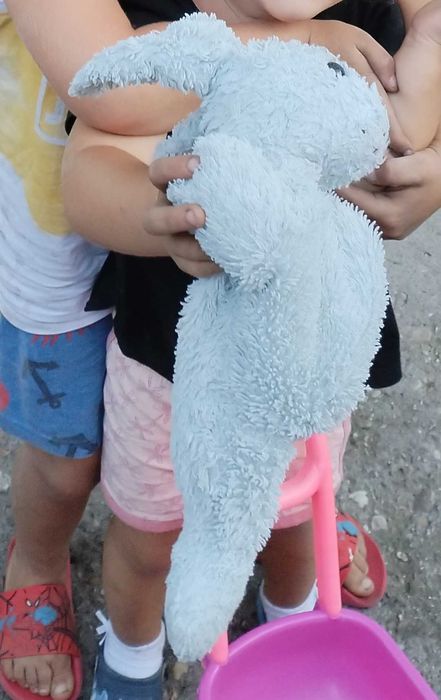 Caut aceste jucării de plus