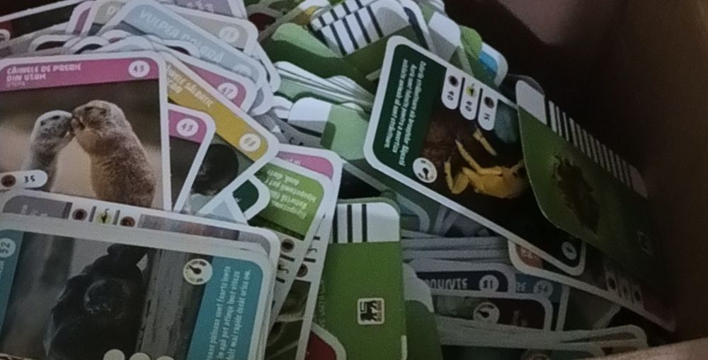 cartonașe Mega Image pentru colectie Expeditie in Jurul Lumii