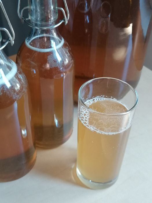 Ceai fermentat Kombucha