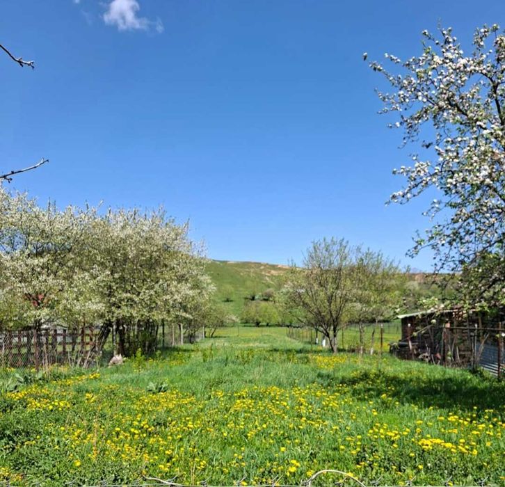 Casă de vânzare in Paltinoasa Suceava