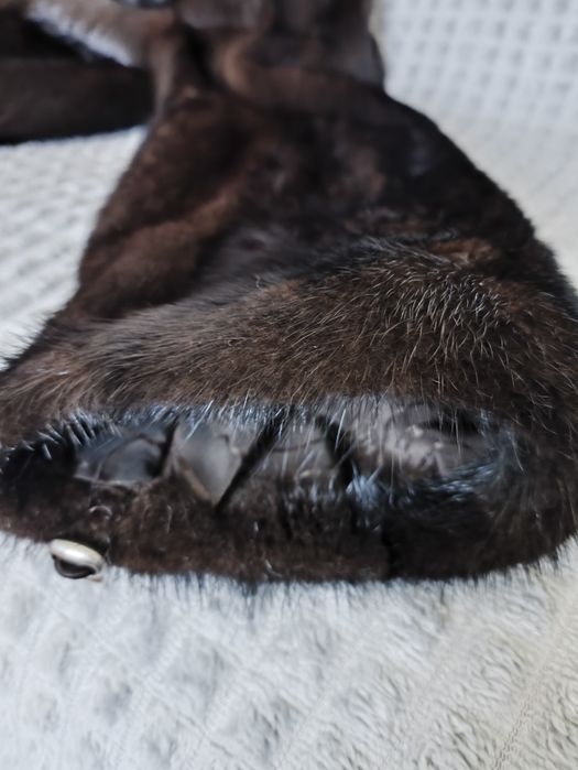 Шуба норковая цельная