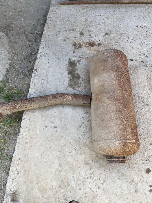 Таксион и болоник