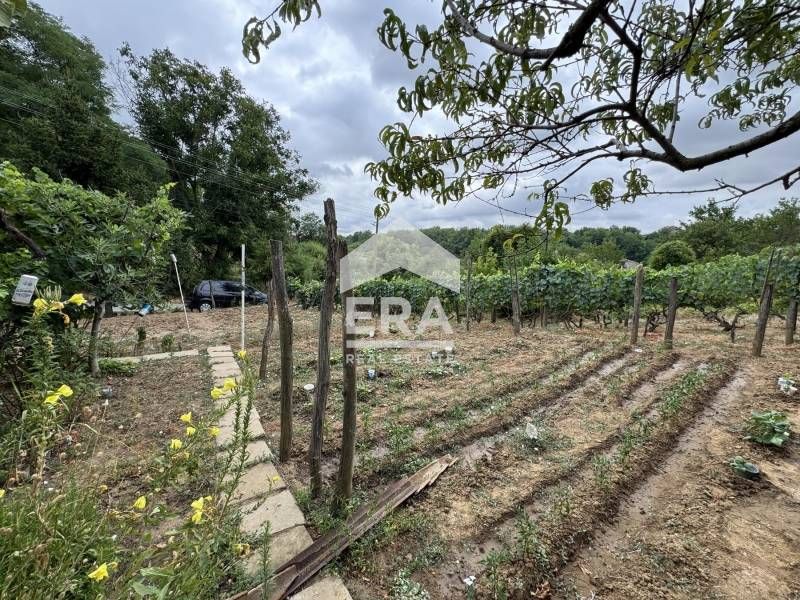 Продава се Парцел в с. Калипетрово, Област Силистра - 1200 кв.м за 9 €/кв.м - Снимка #3