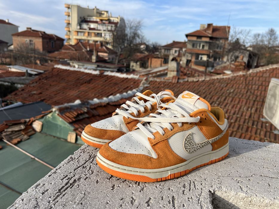 Nike Dunk Safari 43