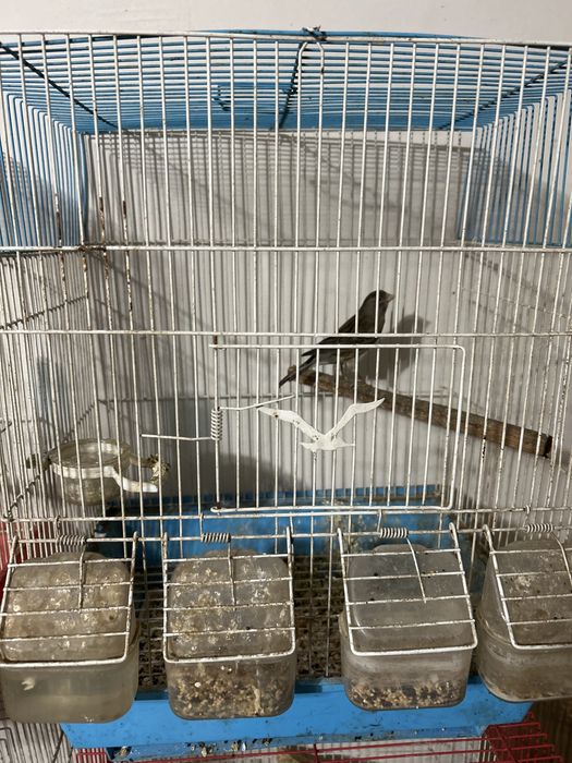 Есть доставка по городу шымкент