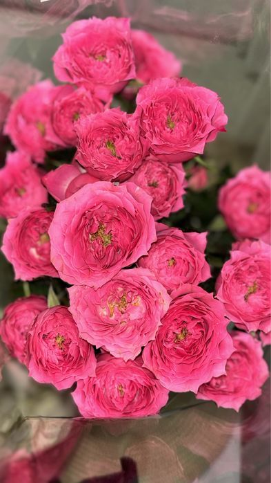 Продам букеты, цена договорная, писать на ватсап