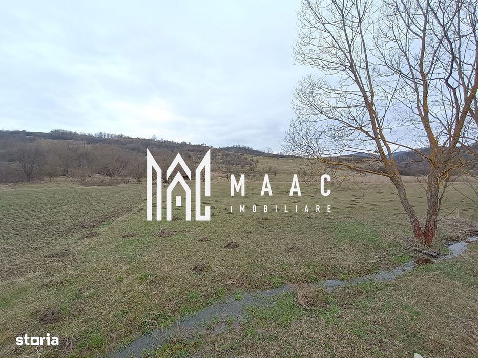 Teren intravilan Ocnele Mari | 2500mp |