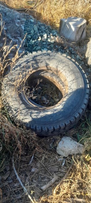 Птс 6 болоны продам