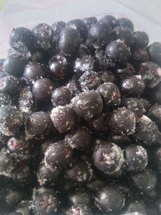 Яблочный сок, крыжовник, черноплодка