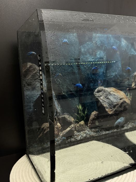 Acvariu 72 cm lungime