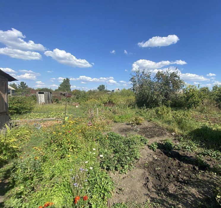 Продам дачный участок